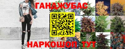 мяу мяу мука Будённовск