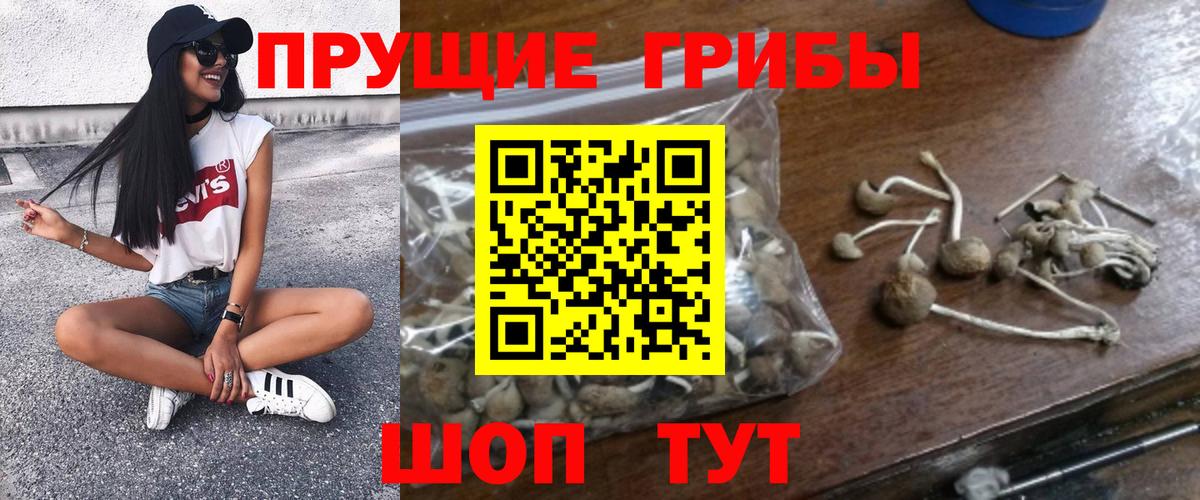 Саров  Псилоцибиновые грибы прущие грибы  купить   Вход с VPN 